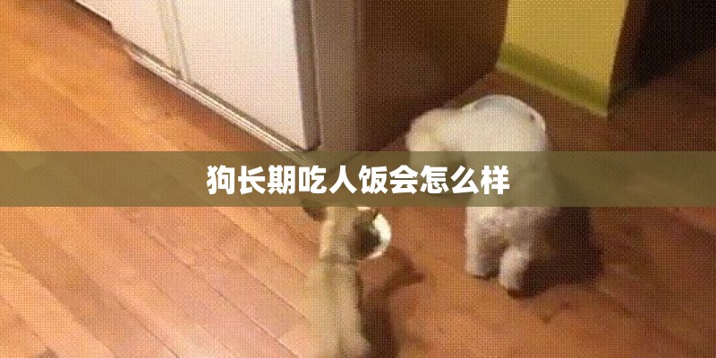 狗长期吃人饭会怎么样
