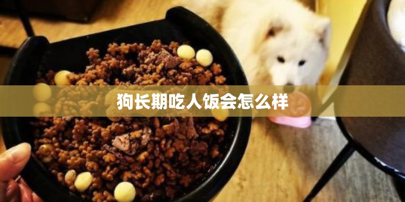 狗长期吃人饭会怎么样