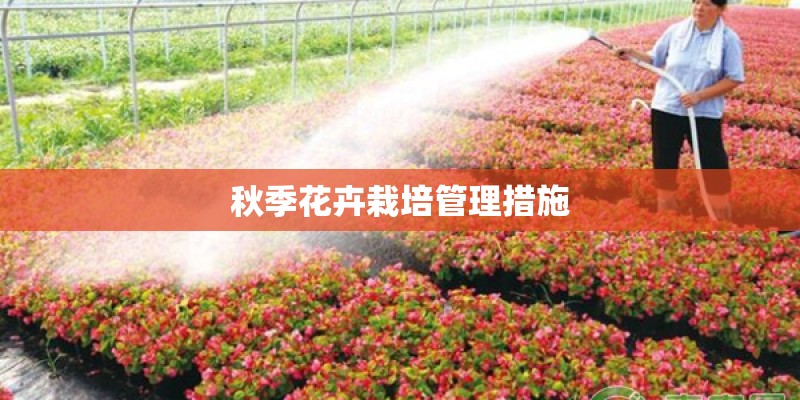 秋季花卉栽培管理措施
