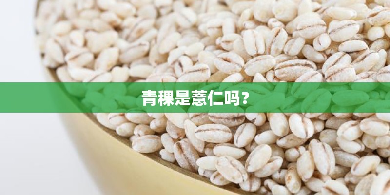 青稞是薏仁吗？