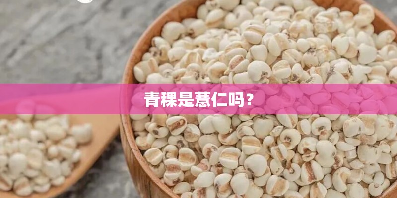 青稞是薏仁吗？