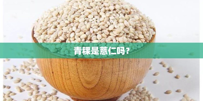 青稞是薏仁吗？