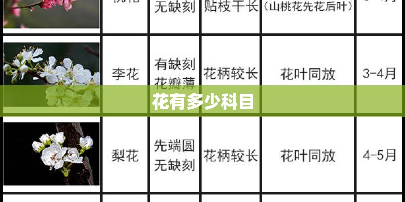 花有多少科目