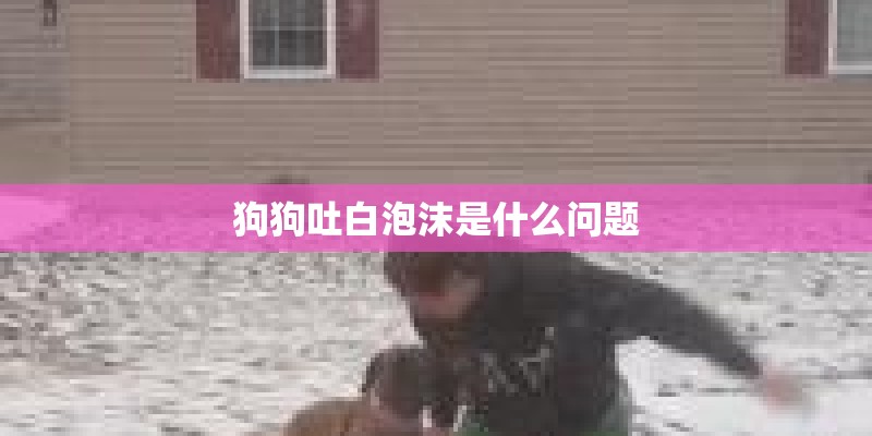 狗狗吐白泡沫是什么问题