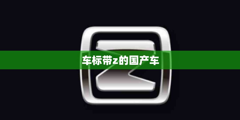 车标带z的国产车