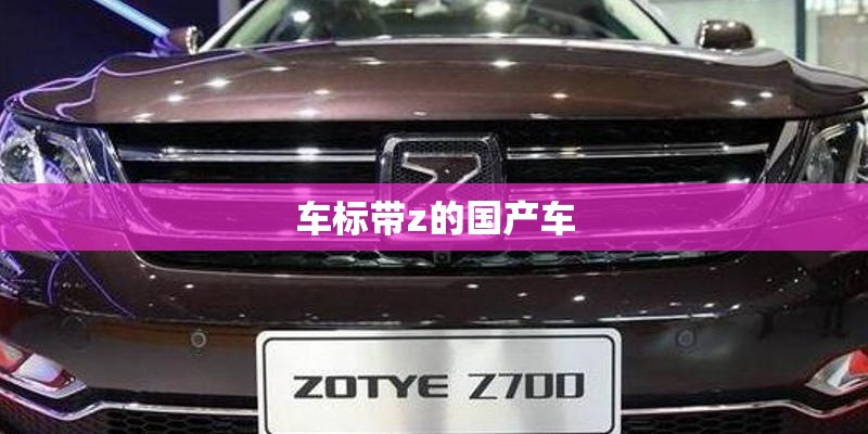 车标带z的国产车 车标带z的国产车