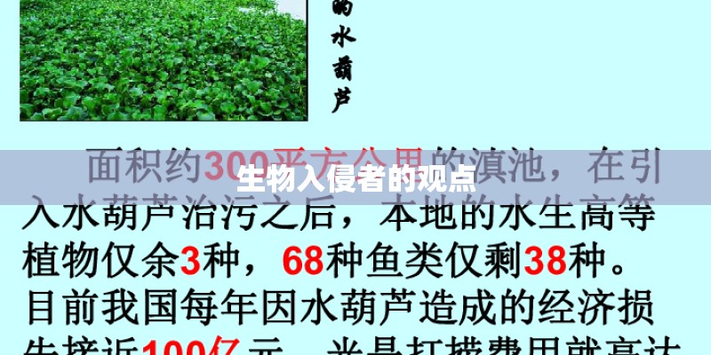 生物入侵者的观点