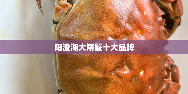 阳澄湖大闸蟹十大品牌