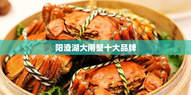 阳澄湖大闸蟹十大品牌