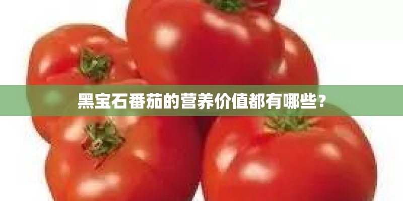 黑宝石番茄的营养价值都有哪些? 黑宝石番茄的营养价值都有哪些?