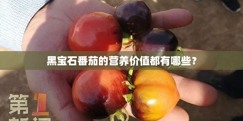 黑宝石番茄的营养价值都有哪些? 黑宝石番茄的营养价值都有哪些?