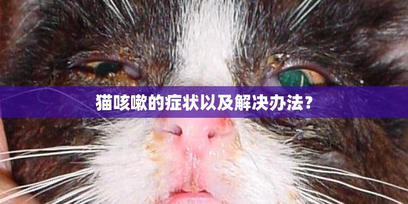 猫咳嗽的症状以及解决办法？