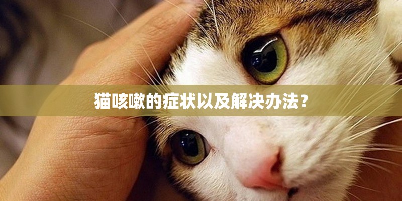 猫咳嗽的症状以及解决办法? 猫咳嗽的症状以及解决办法?