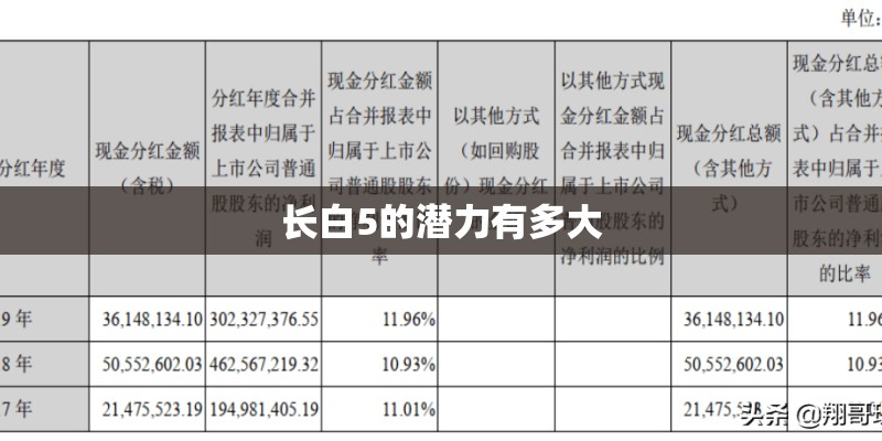 长白5的潜力有多大