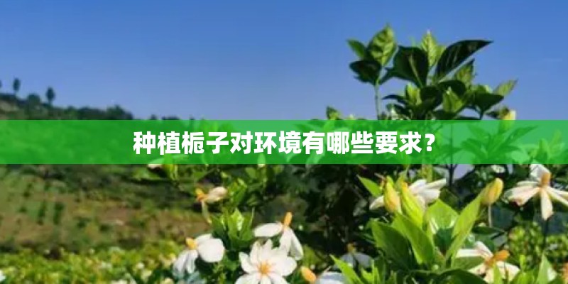 种植栀子对环境有哪些要求？