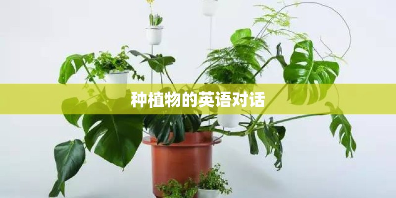 种植物的英语对话