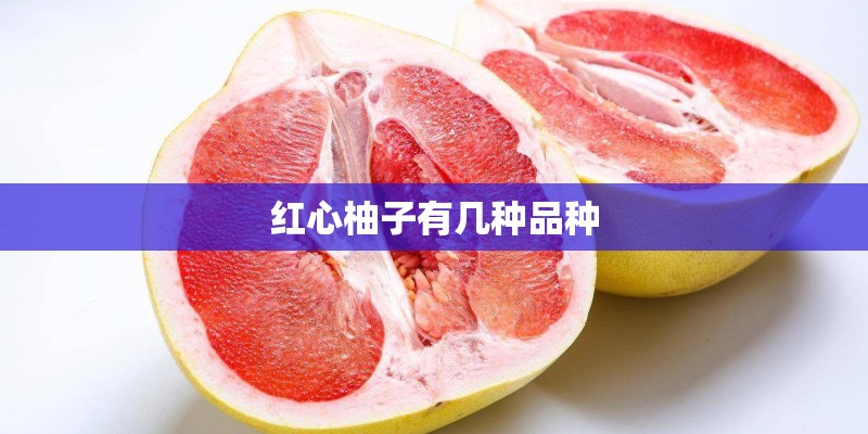 红心柚子有几种品种