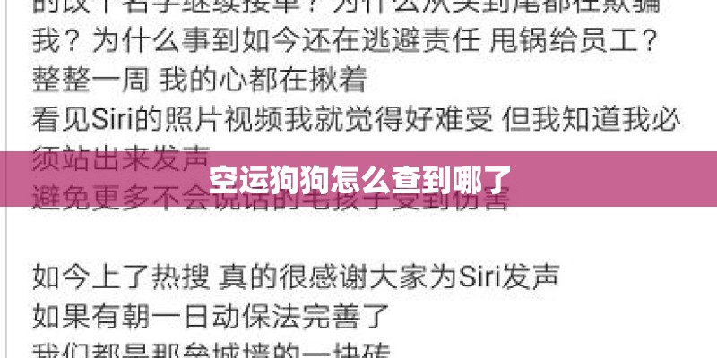 空运狗狗怎么查到哪了