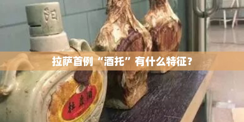 拉萨首例“酒托”有什么特征？
