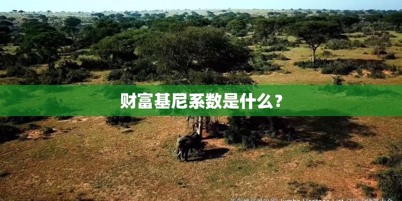 财富基尼系数是什么？