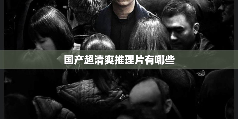 国产超清爽推理片有哪些