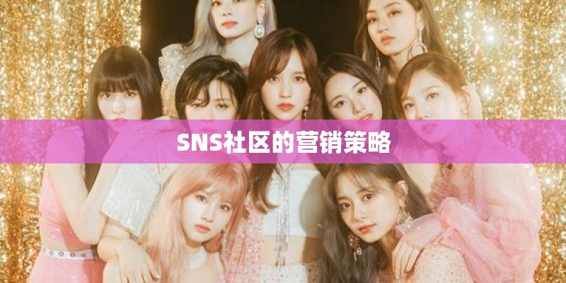 SNS社区的营销策略