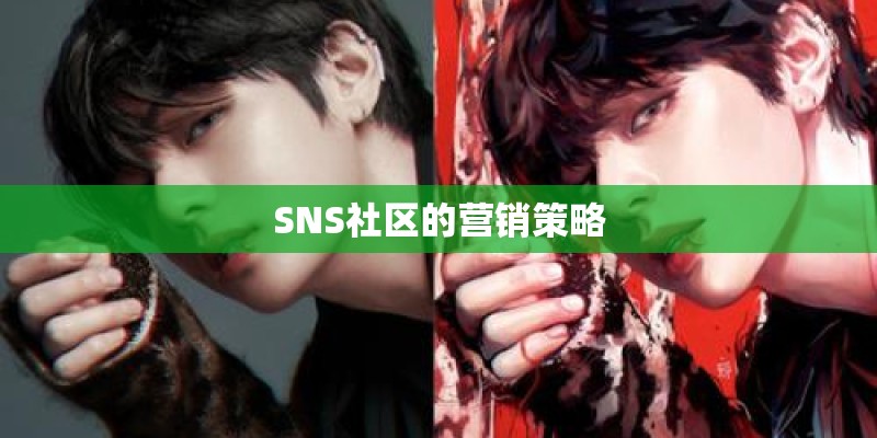 SNS社区的营销策略