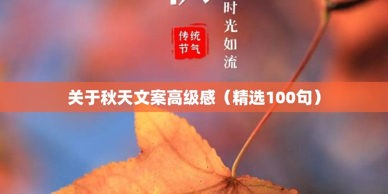 关于秋天文案高级感(精选100句) 关于秋天文案高级感(精选100句)