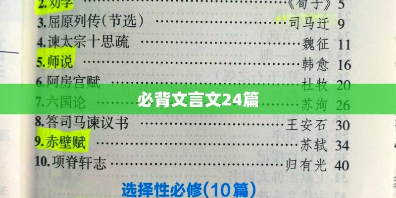 胡子小鸡的角色介绍