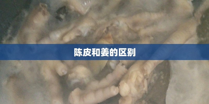 陈皮和姜的区别