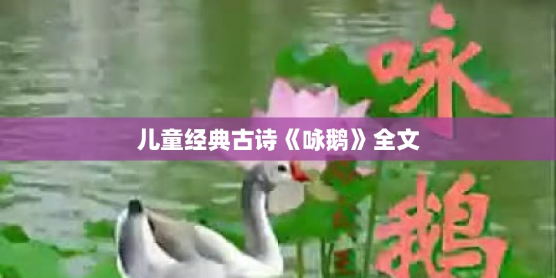 儿童经典古诗《咏鹅》全文