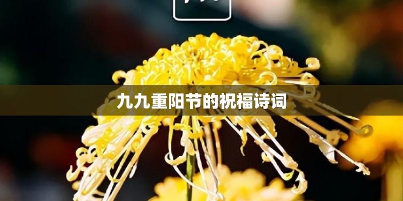 九九重阳节的祝福诗词