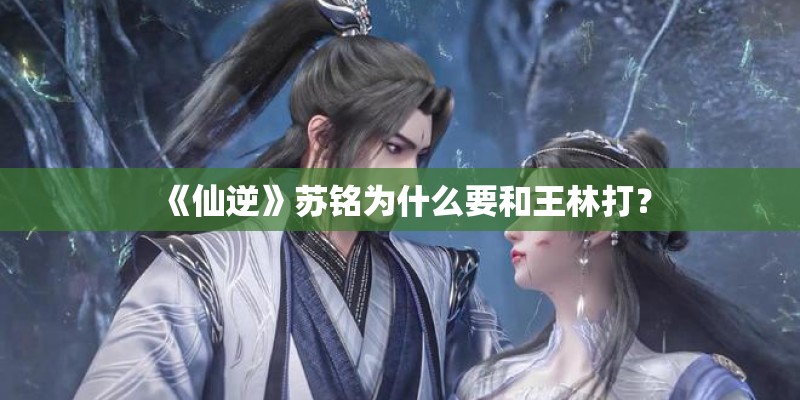 《仙逆》苏铭为什么要和王林打？