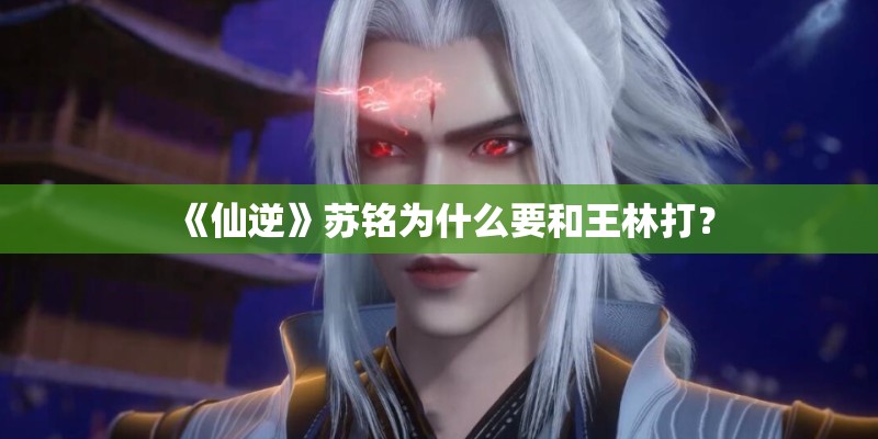 《仙逆》苏铭为什么要和王林打？