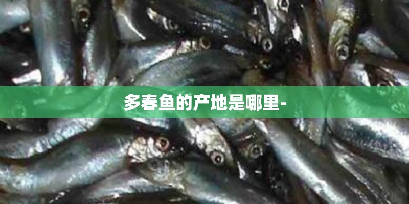 多春鱼的产地是哪里-