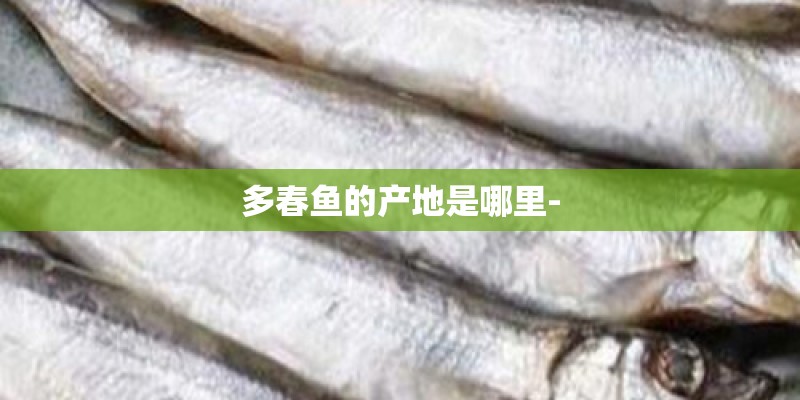 多春鱼的产地是哪里-
