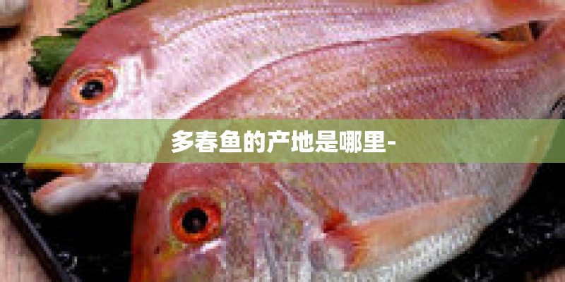 多春鱼的产地是哪里-
