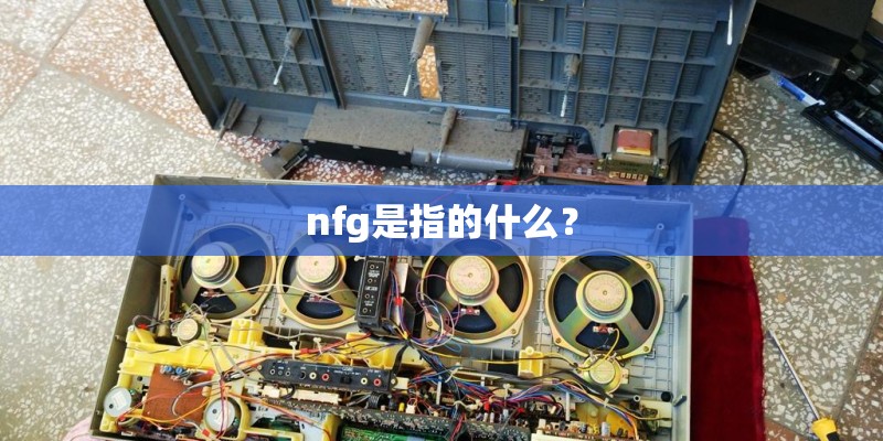 nfg是指的什么？