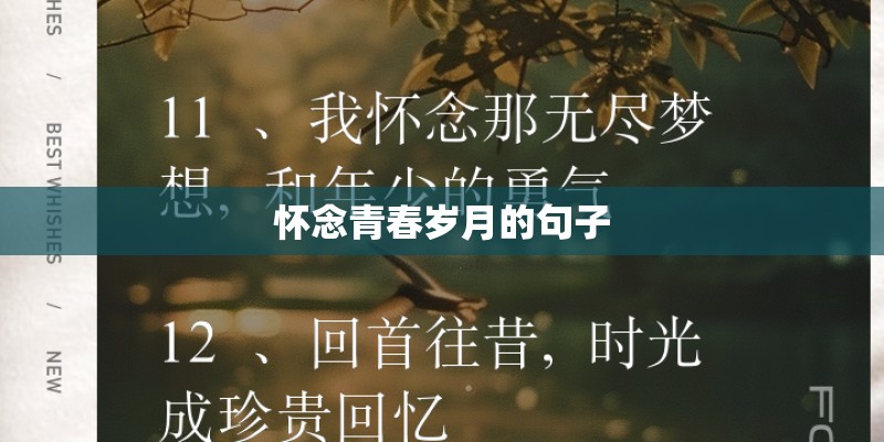 怀念青春岁月的句子