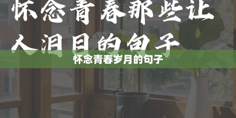 怀念青春岁月的句子