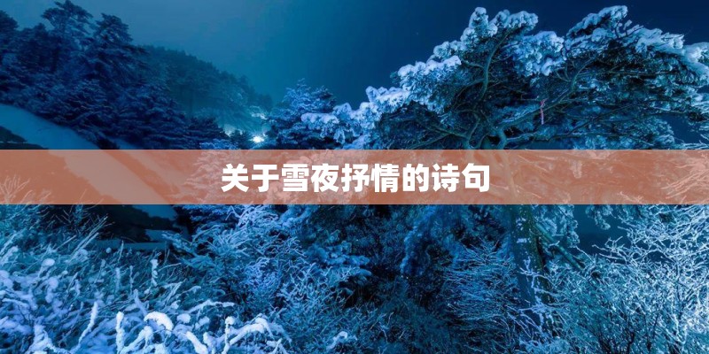 关于雪夜抒情的诗句 关于雪夜抒情的诗句