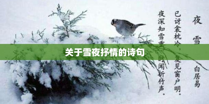 关于雪夜抒情的诗句 关于雪夜抒情的诗句