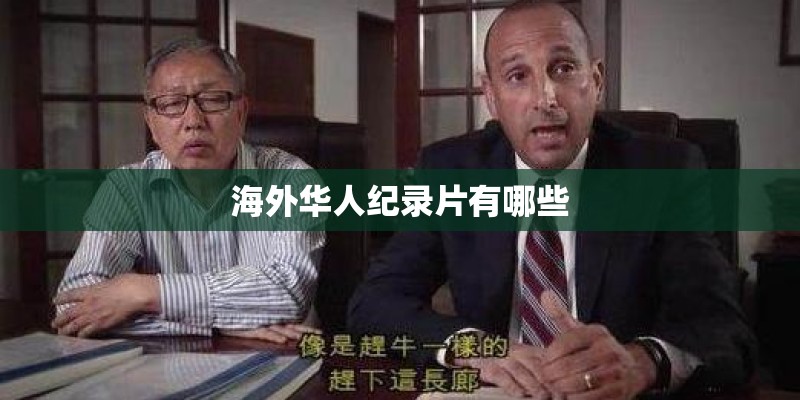 海外华人纪录片有哪些
