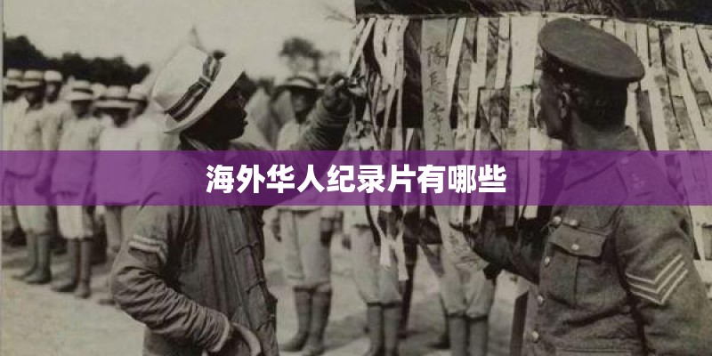 海外华人纪录片有哪些