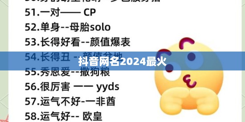抖音网名2024最火