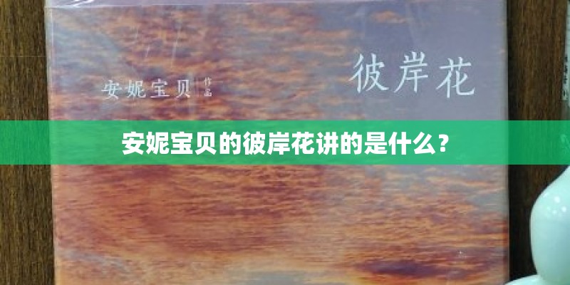 安妮宝贝的彼岸花讲的是什么？
