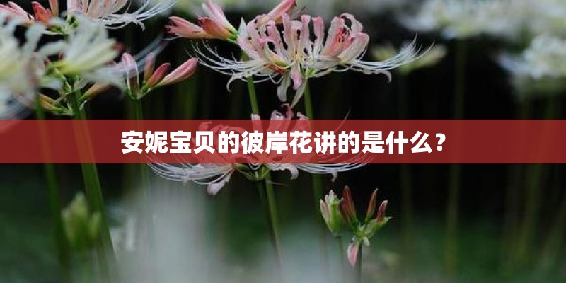 安妮宝贝的彼岸花讲的是什么？