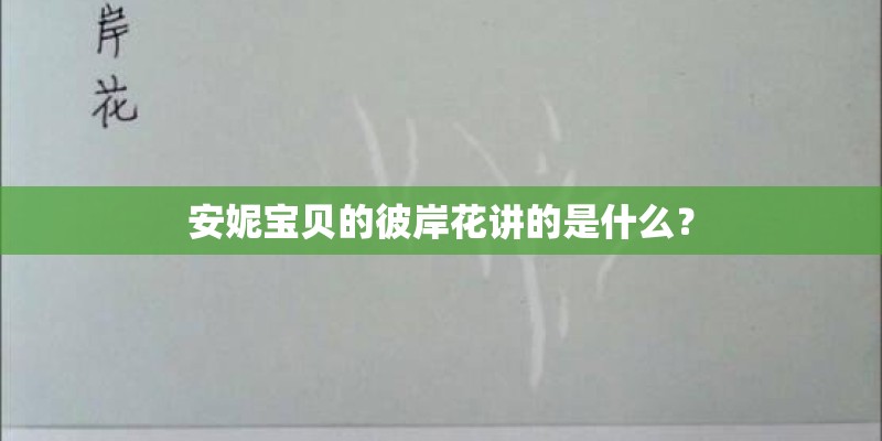 安妮宝贝的彼岸花讲的是什么？