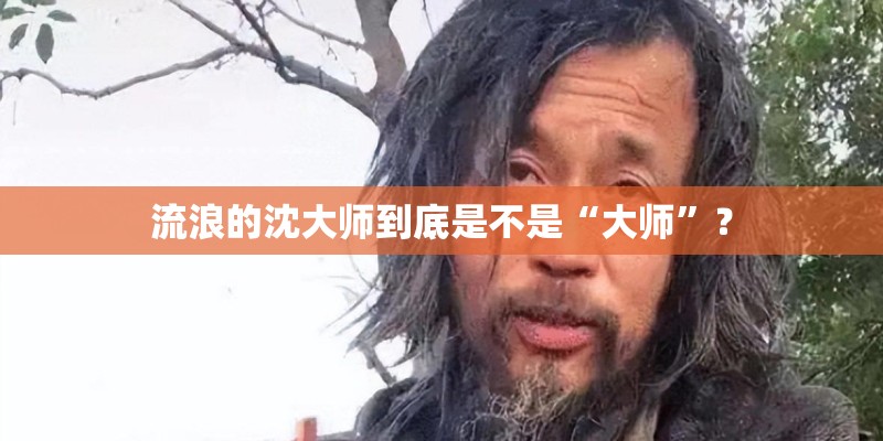流浪的沈大师到底是不是“大师”？