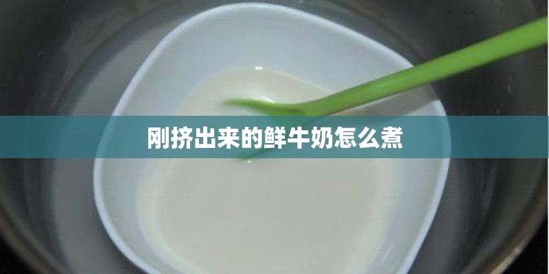 刚挤出来的鲜牛奶怎么煮